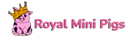 Royal Mini Pigs